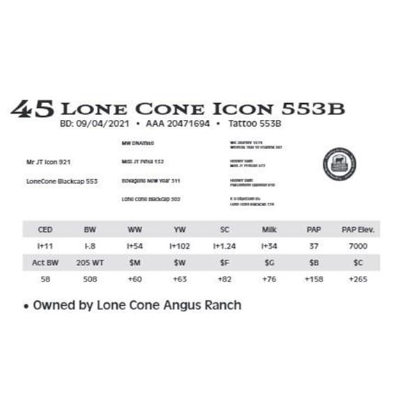 Lone Cone Icon 553B