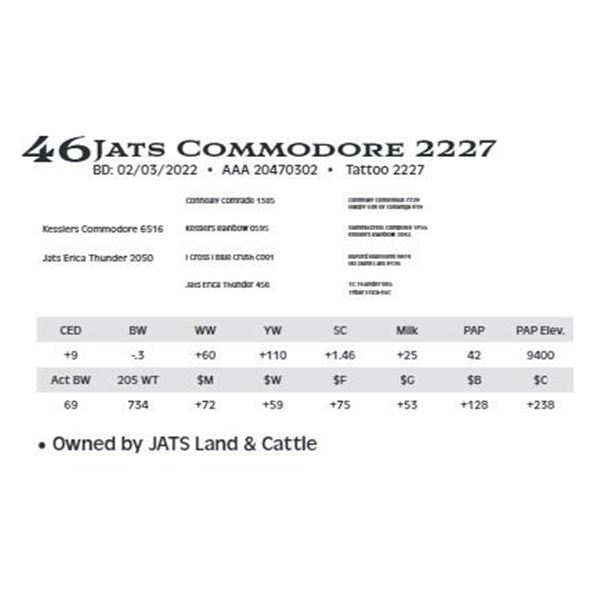 Jats Commodore 2227