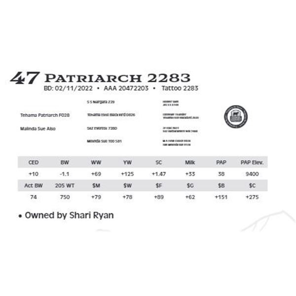 Patriarch 2283