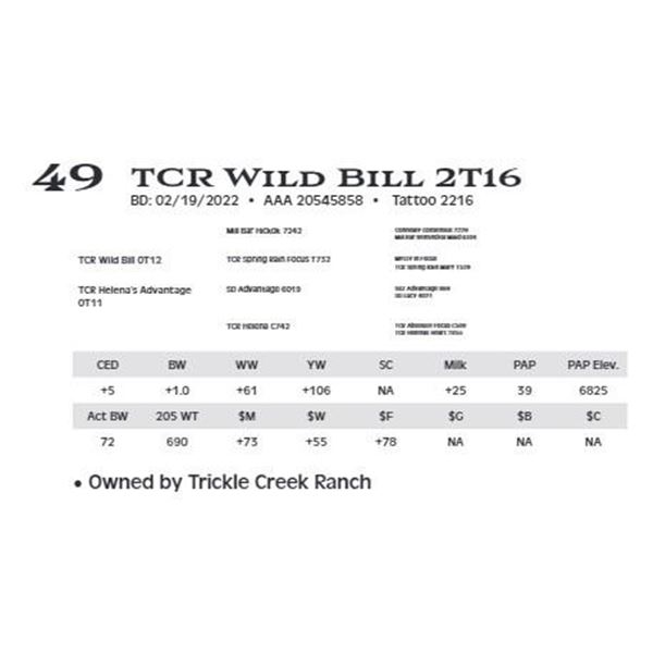 TCR Wild Bill 2T16