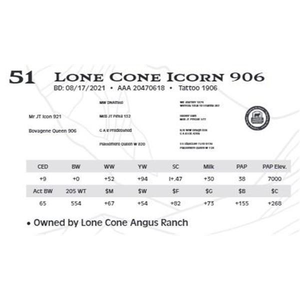 Lone Cone Icorn 906