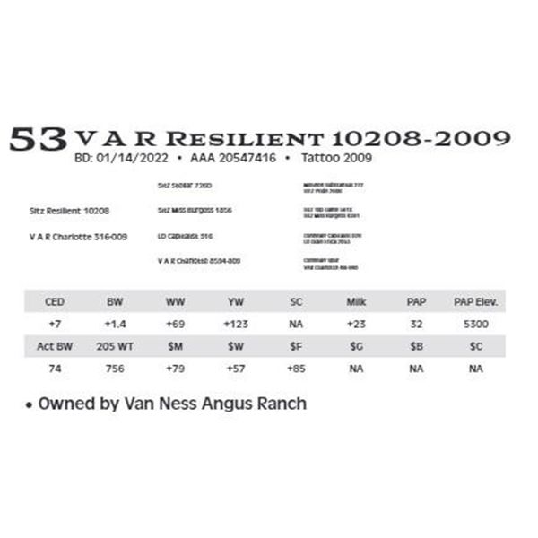 V A R Resilient 10208-2009