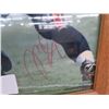 Image 2 : Mike Alstott Signed Autographed Photo