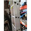 Image 2 : Metal Extension Ladder