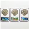 Image 2 : 1974 Set (3) Eisenhower Silver Dollars NGC MS65