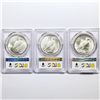 Image 2 : 1922-D Set (3) Silver Peace Dollar PCGS MS62
