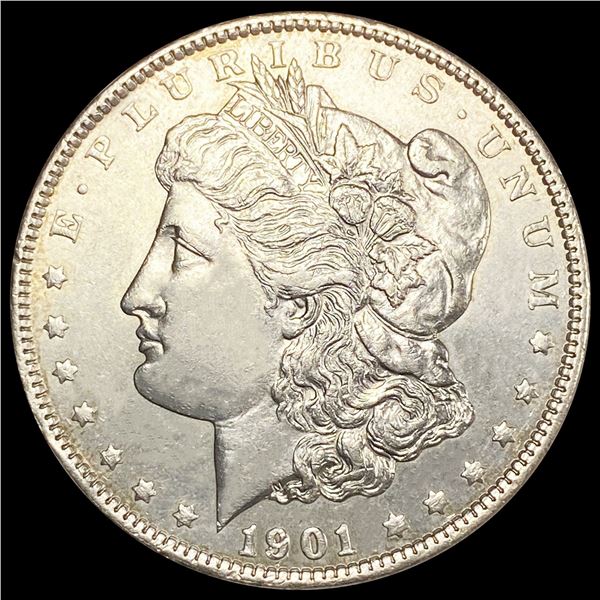 1901 Morgan Silver Dollar UNCIRCULATED