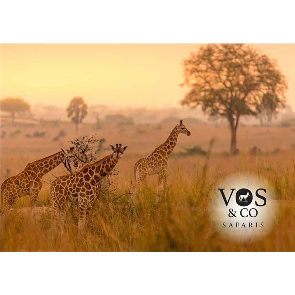 4 - SPRINGBUCK COLOR SLAM SAFARI FOR 2 HUNTERS