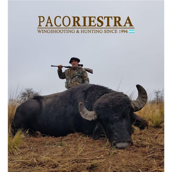 5 - ARGENTINA RED STAG HUNT FOR 1 HUNTER