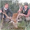 Image 4 : 5 - ARGENTINA RED STAG HUNT FOR 1 HUNTER