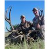 Image 5 : 5 - ARGENTINA RED STAG HUNT FOR 1 HUNTER