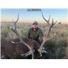 Image 6 : 5 - ARGENTINA RED STAG HUNT FOR 1 HUNTER