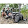 Image 2 : 6 - CAPE BUFFALO SAFARI FOR 1 HUNTER