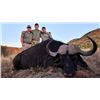 Image 4 : 6 - CAPE BUFFALO SAFARI FOR 1 HUNTER
