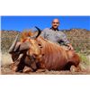 Image 5 : 6 - CAPE BUFFALO SAFARI FOR 1 HUNTER
