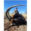Image 6 : 6 - CAPE BUFFALO SAFARI FOR 1 HUNTER