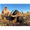 Image 7 : 6 - CAPE BUFFALO SAFARI FOR 1 HUNTER
