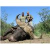 Image 8 : 6 - CAPE BUFFALO SAFARI FOR 1 HUNTER