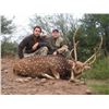 Image 8 : 8 - ARGENTINA BIG GAME SAFARI FOR 2 HUNTERS
