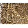 Image 2 : LOT OF 35 - NET WRAPPED 4 X 5 MIXED GRAIN STRAW BALES