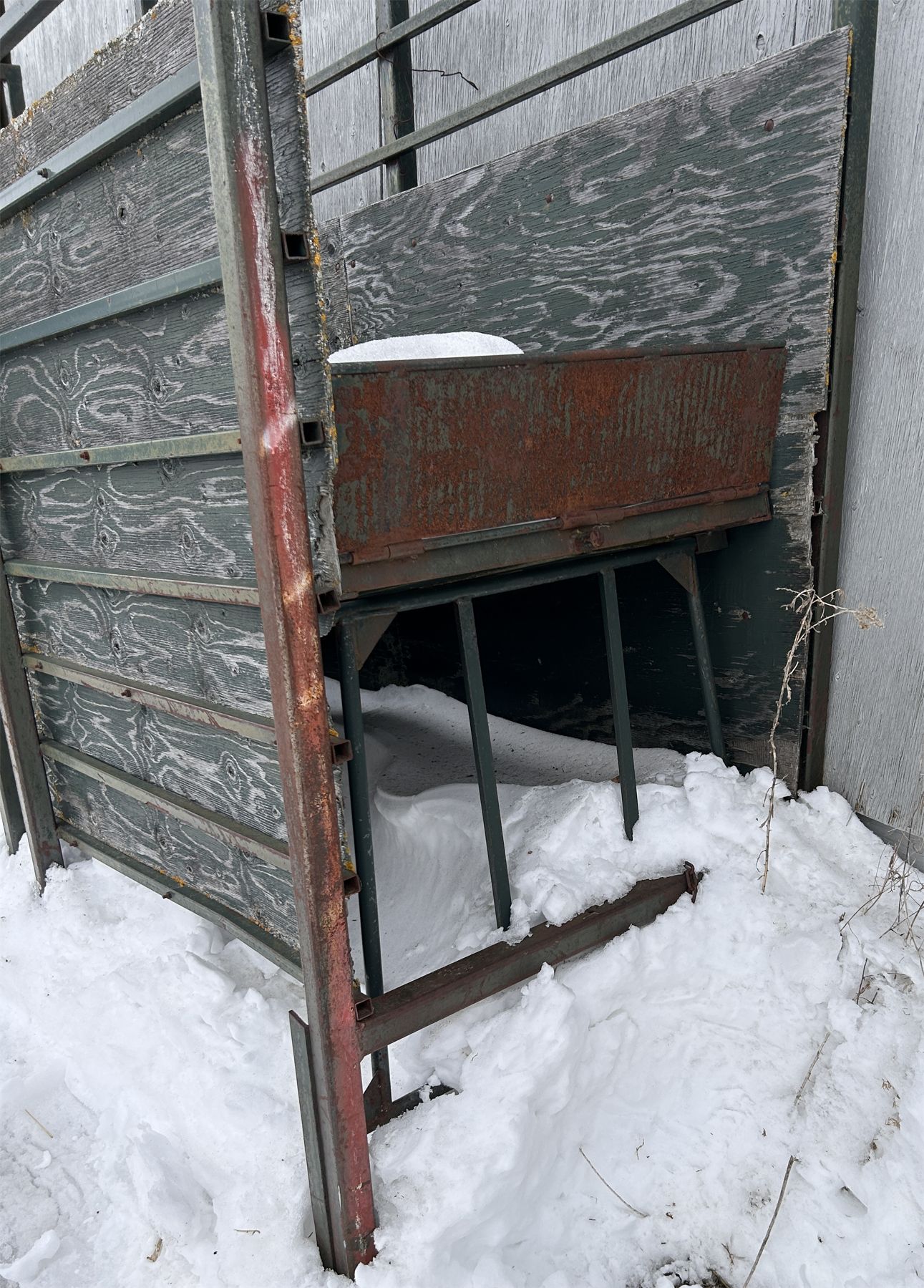 CATTLE CHUTE 12 FOOT W/ 2 FOOT RISE 3 PTH Kidd Family Auctions