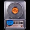 Image 5 : ***Auction Highlight*** 1955-p Lincoln Cent 1c Graded ms67 rd By SEGS (fc)