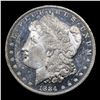 Image 2 : ***Auction Highlight*** 1884-o Morgan Dollar $1 Graded Choice Unc+ DMPL By USCG (fc)