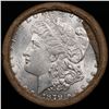 Image 2 : ***Auction Highlight*** 1879 & CC Uncirculated Morgan Dollar Shotgun Roll (fc)