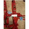 Image 3 : 2 Craigmyle Horse Halters Size Regular 900-1200 lbs
