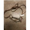 Image 1 : 5" Horse Rubber Bit and Leather Halter