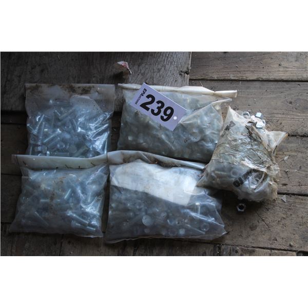 New carriage bolts and nuts