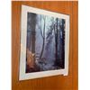 Image 1 : Framed Print of Forest Scenery
