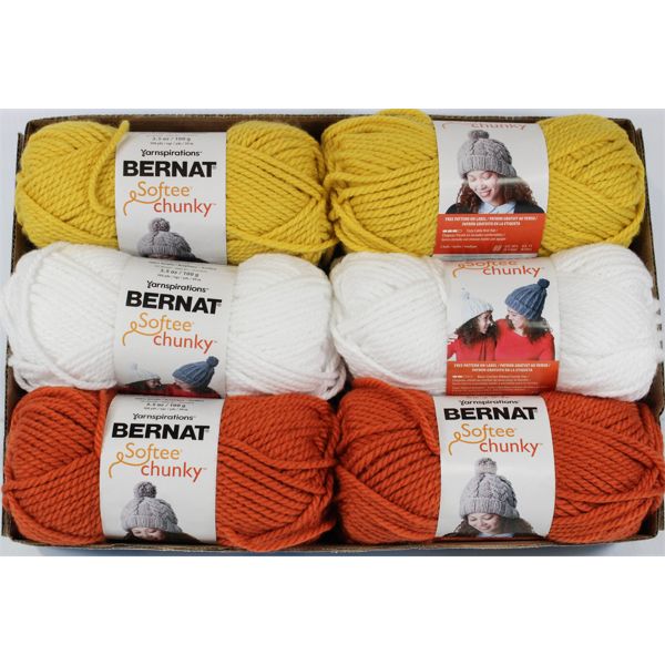 6 SKEINS YARNSPIRATIONS BERNAT SOFTEE CHUNKY YARN
