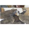 Image 6 : One Dozen Johnsons Folding Goose Decoys