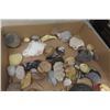 Image 8 : Life Time Collection of Sea Shells + Corral 