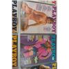 Image 3 : 1980 Playboy Magazines- Full Year, 12 Issues 
