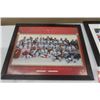 Image 2 : Team Canada 2002 Framed Picture 18"×22", Jerome Iginla Framed Picture, 2003/04 Home Grown Pin Collec