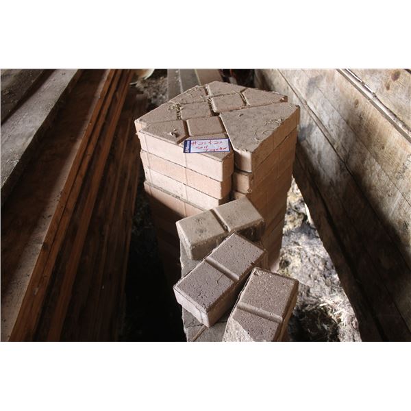 45- Paving Stones-New (selling together)