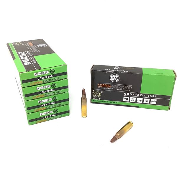 RWS Ruag Copper Matrix NTF Frangible 223 Rem 45 Grain Ammunition, 100 ...
