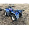 Image 4 : Blue Kawasaki Quad, 2536 km, SN. Not visible (PH Terry (780) 907-4064) Location 4.1 Km North from Hw