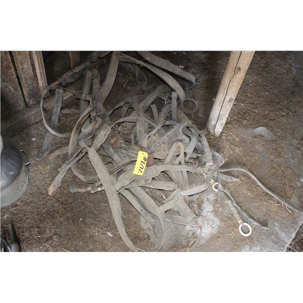Qty of harness ( At Adolph's Adolph Pasay 780-942-2153)