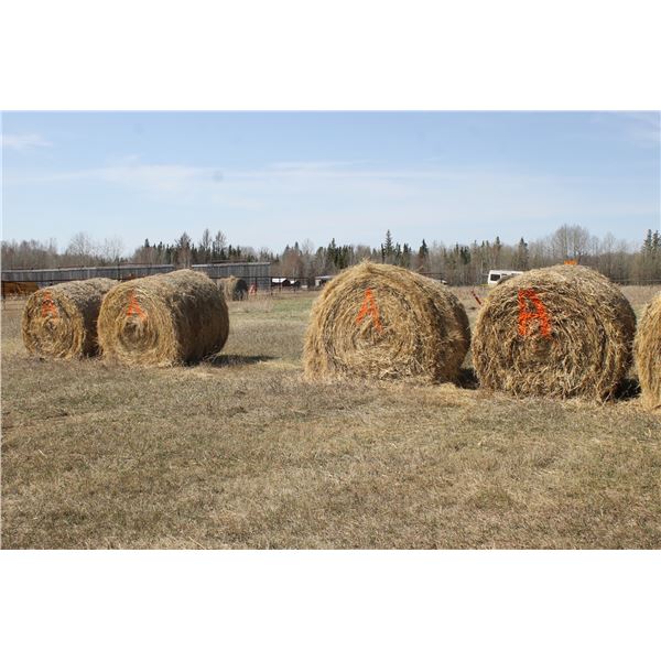 5- bales of mixed hay, approx. 1400 lbs, selling so much each x 5 (6- more bales sell at Lot #711 at