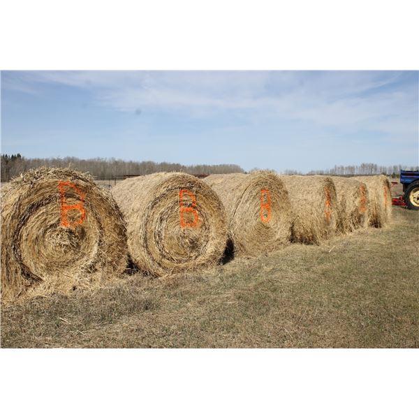 6 bales of mixed hay, approx. 1400 lbs, so much each x 6 (selling at