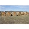Image 3 : 6- bales of mixed hay, approx. 1400 lbs, so much each x 6 (selling at Redwater site)