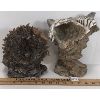 Image 2 : LOT OF 2 - RESIN LION AND TIGER FIGURES