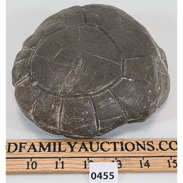 FOSSILIZED TURTLE SHELL
