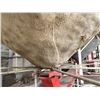 Image 8 : Insulated Smooth Wall Hoppers Bottom Bin with Aeration Fan - 16' Diameter Approx 10' High + Hoppers 