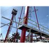 Image 14 : 5 Red + 1 Blue Bucket Elevators, Quantity of Transfer Conveyors + Quantity of walkway above Graineri