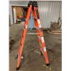 Image 3 : 6' Step Ladder (Fibreglass) - Purchaser is solely responsible for dismantling and removal of all lot