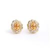 Image 1 : Plated 18KT Yellow Gold 0.96cts Citrine and Diamond Earrings